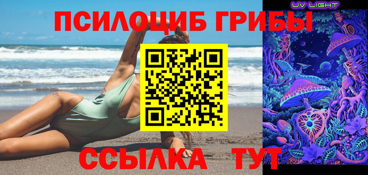наркошоп  Вход с VPN  Михайловск  Псилоцибиновые грибы Cubensis 